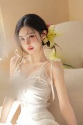 所涉财物送